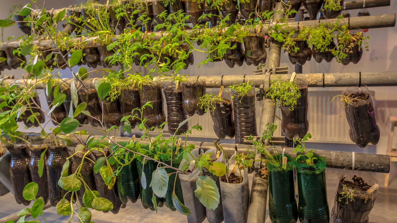 Guia Completo: Como Fazer Seu Vaso Autoirrigável com Garrafa PET