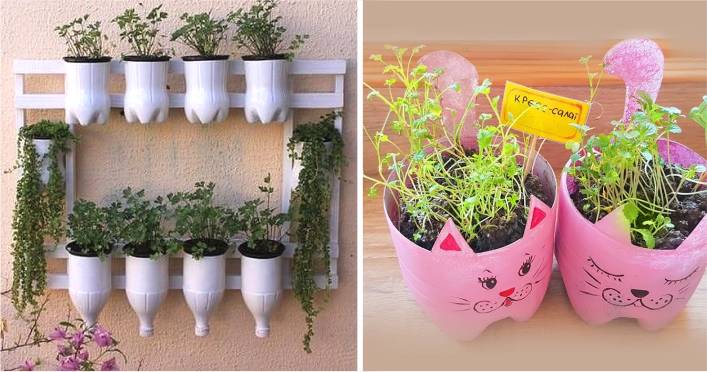 As Melhores Plantas para Cultivar em Hortas Verticais de Garrafa PET