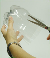 5 ideias de títulos