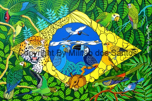 releitura bandeira brasil povos originarios