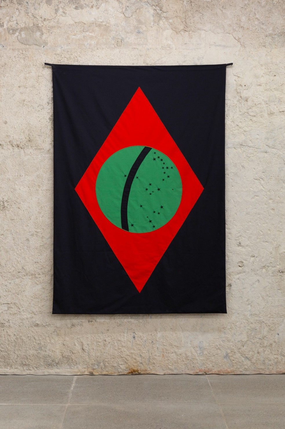 releitura bandeira brasil com elementos da natureza