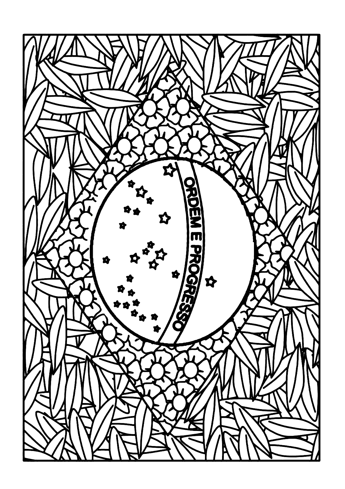 como desenhar bandeira do brasil de forma diferente