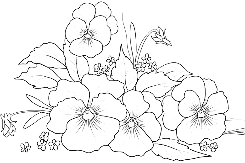 riscos de flores realistas para imprimir