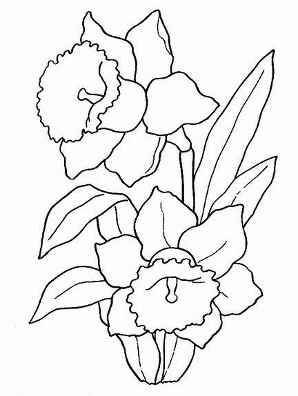 riscos de flores simples para iniciantes