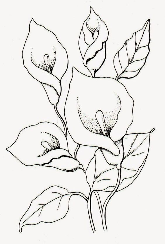 riscos de animais para pintura em tecido