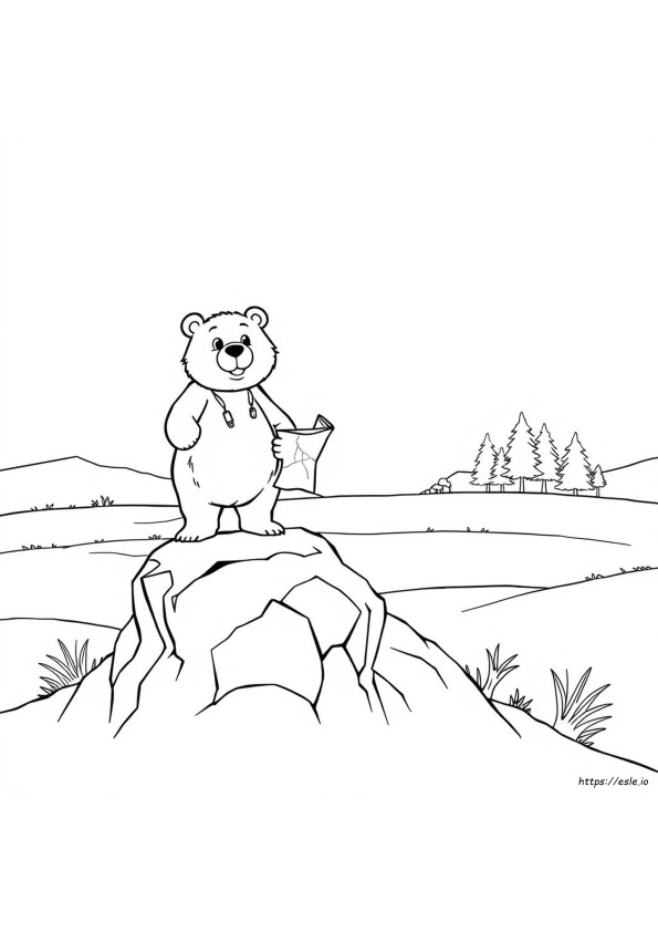 desenho do baaren super bear adventure para colorir
