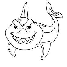 tubarão desenho para colorir