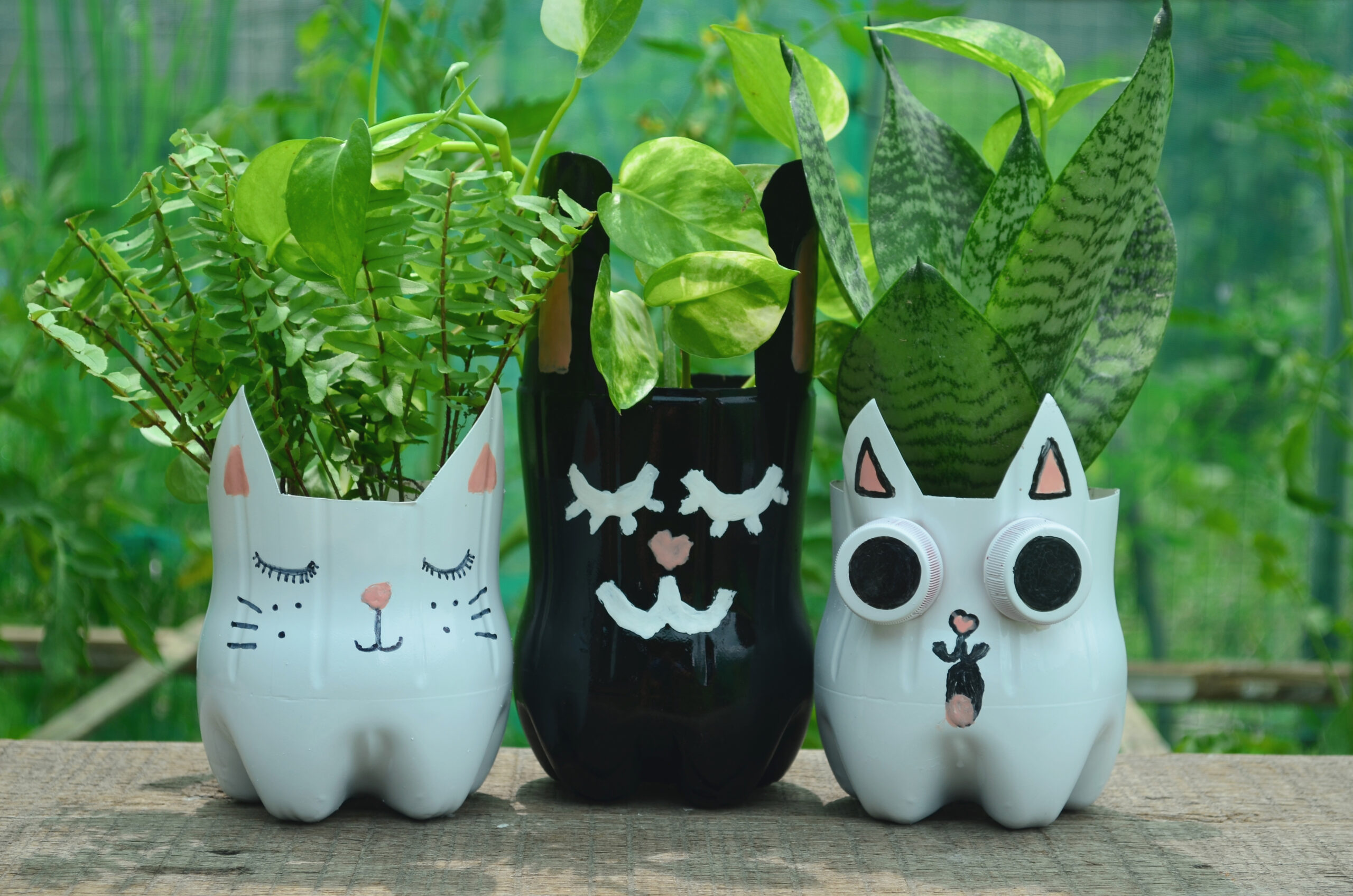 vasos de plantas com garrafa pet