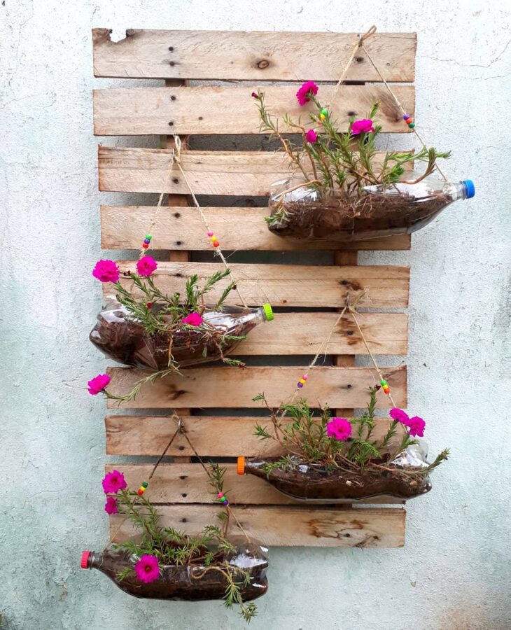 vasos de plantas com garrafa pet