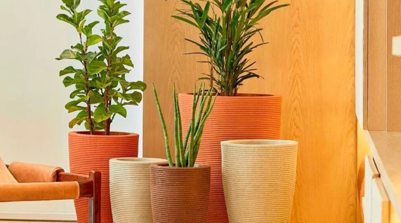 vasos para decoração de sala