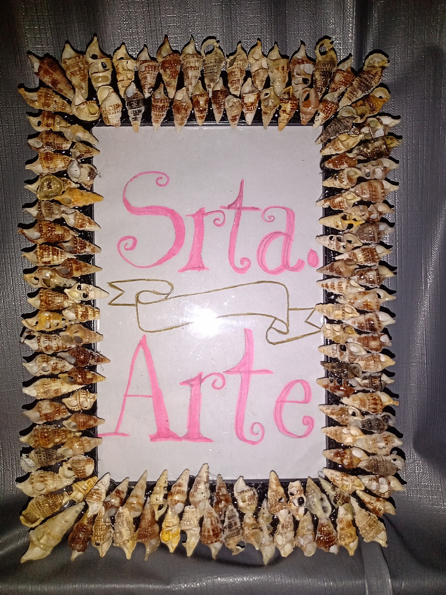 quadros de parede com conchas