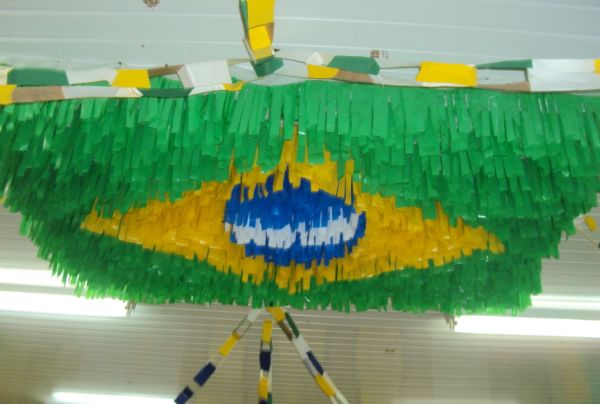 diy bandeira do Brasil