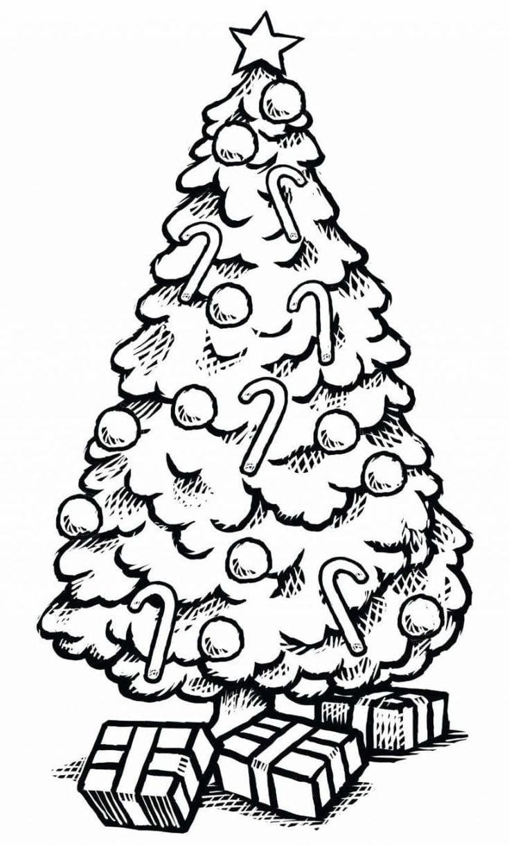 árvore de natal para imprimir e pintar