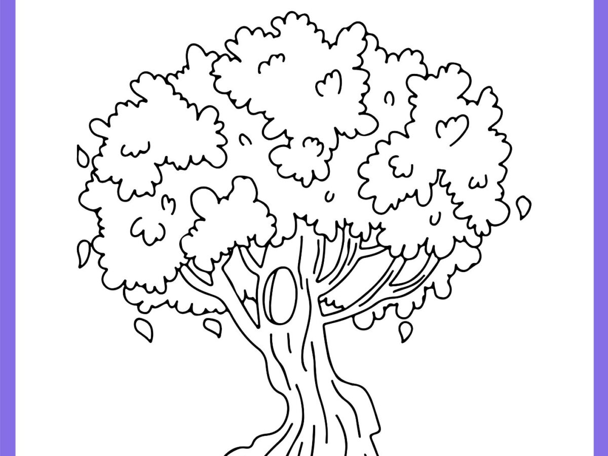 desenho tronco de árvore para colorir