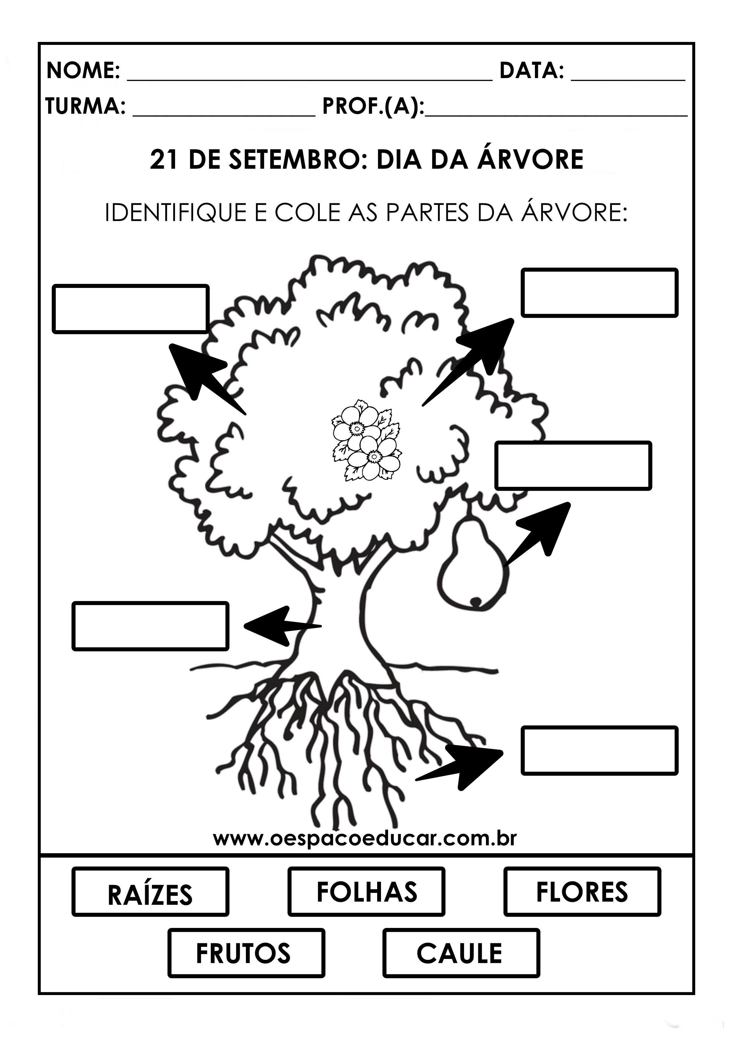 conscientização ambiental 3º ano dia da árvore