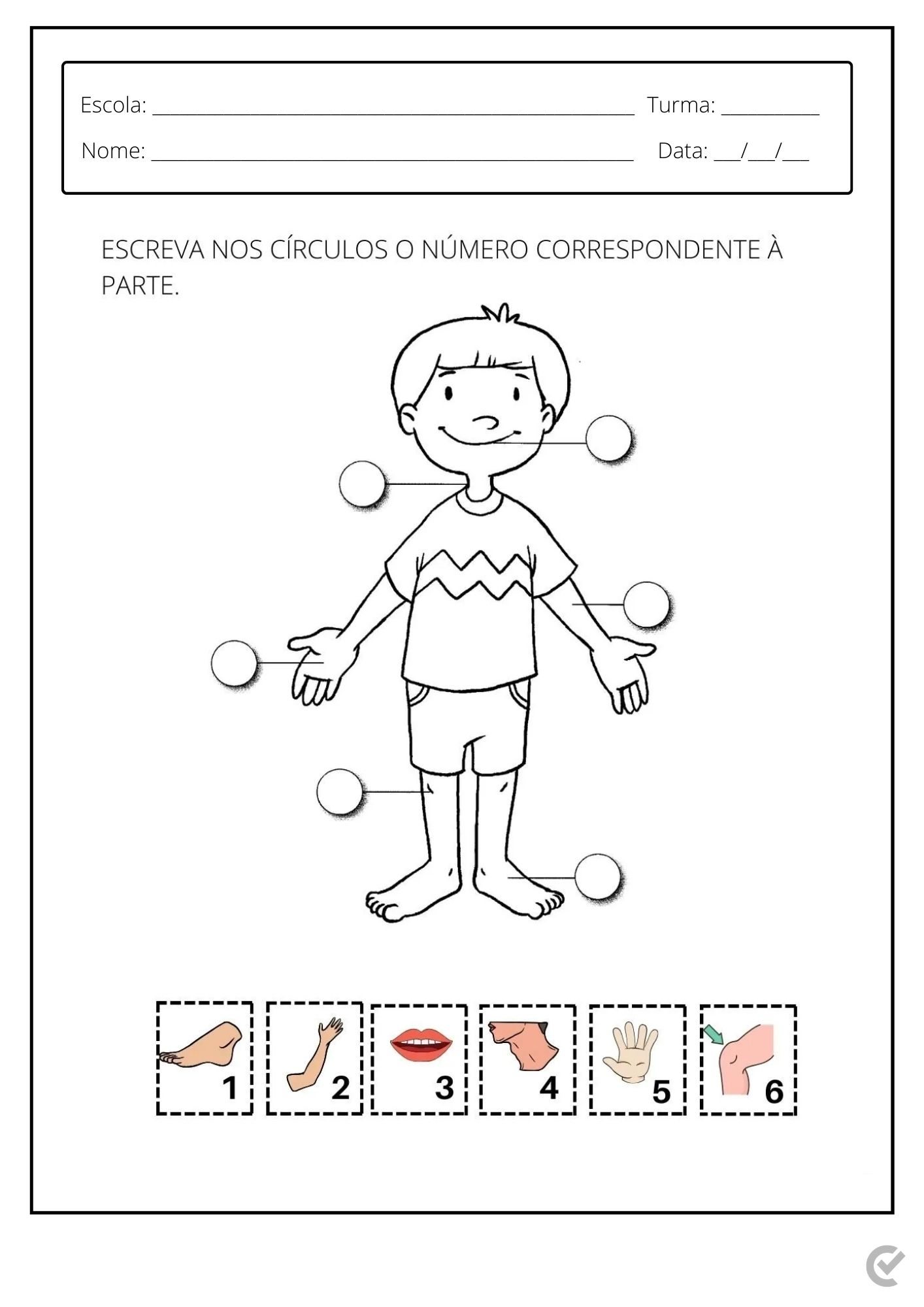 plano de aula educação infantil 4 anos