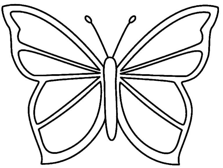 borboleta png transparente
