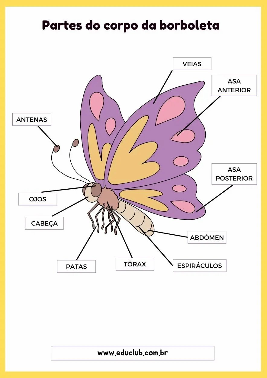 silhueta de borboleta para recortar