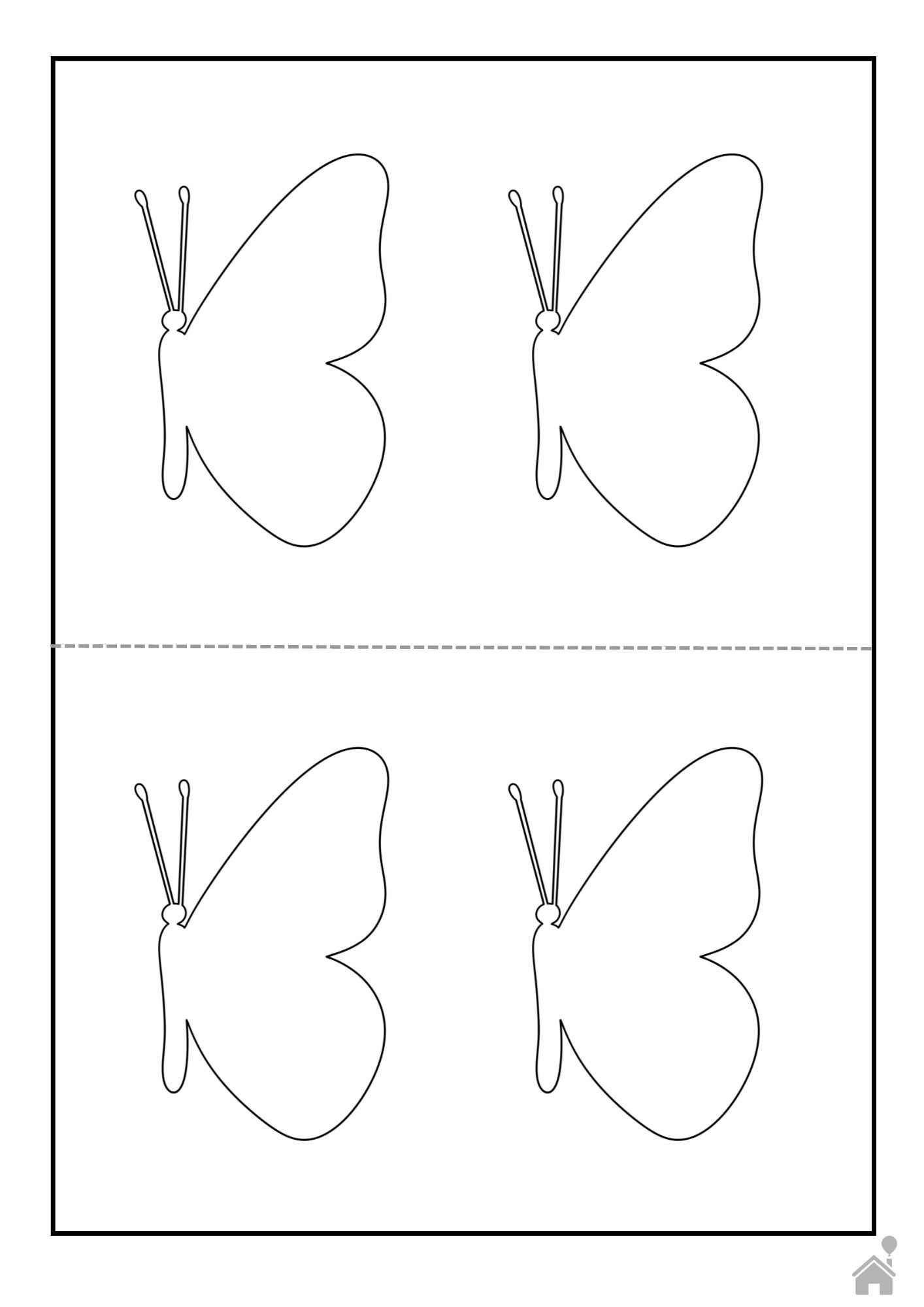 vetor borboleta corpo