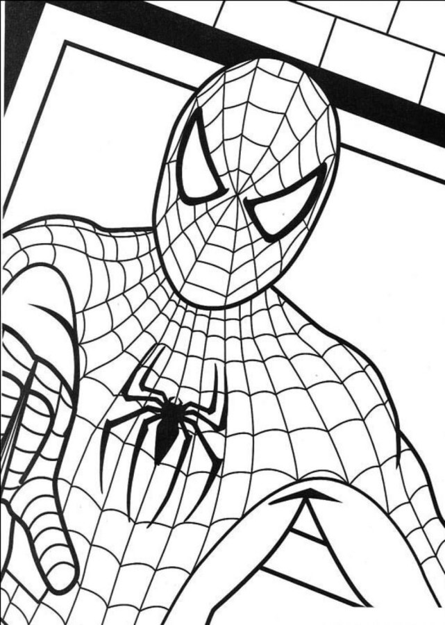 desenhos do spiderman para imprimir