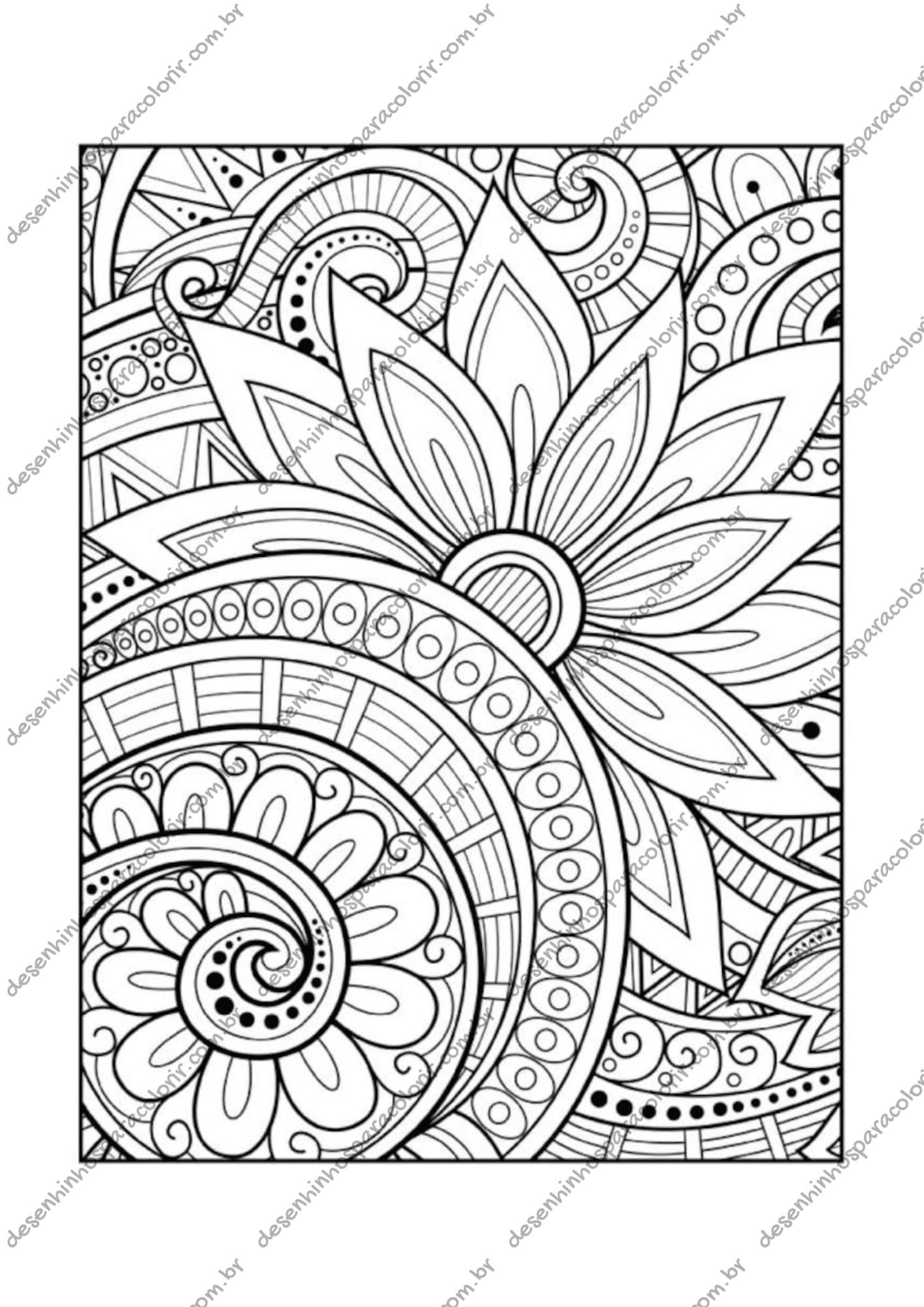livros de colorir para ansiedade