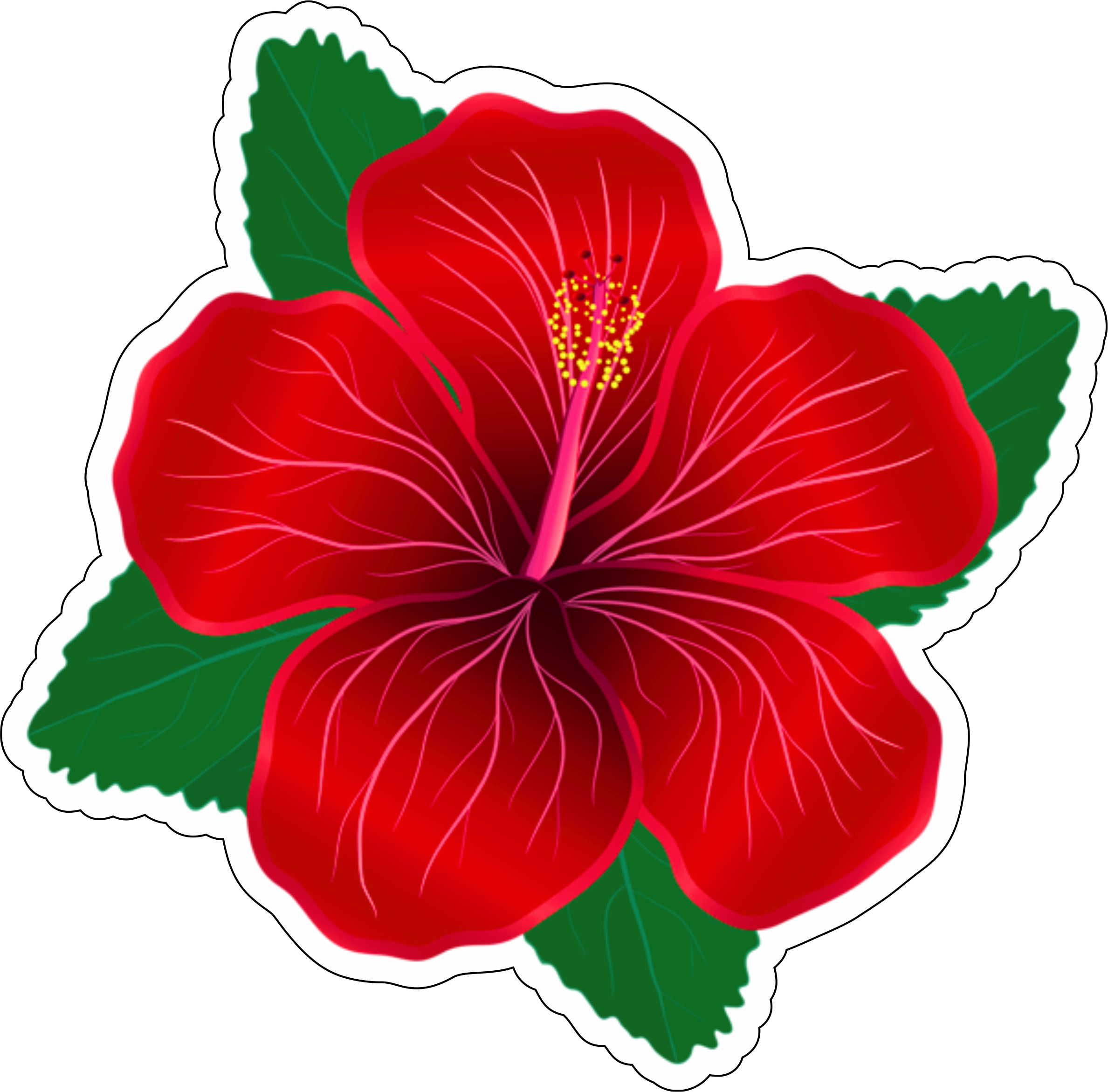 imagens de flores coloridas para download