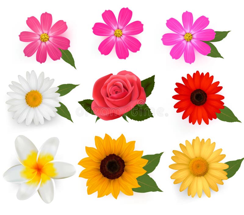 flores prontas para imprimir e recortar