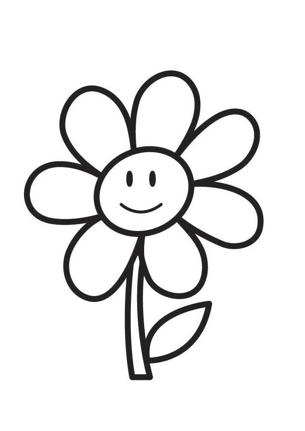 vetores de flores coloridas para impressão