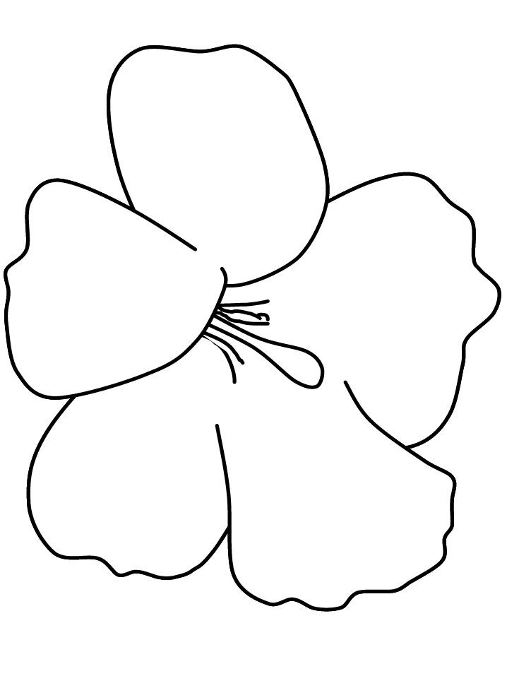 padrões de flores em EVA para baixar