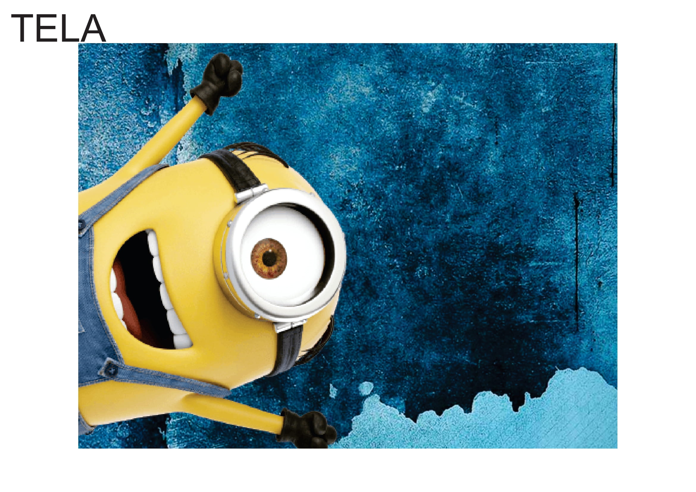 minions customizados