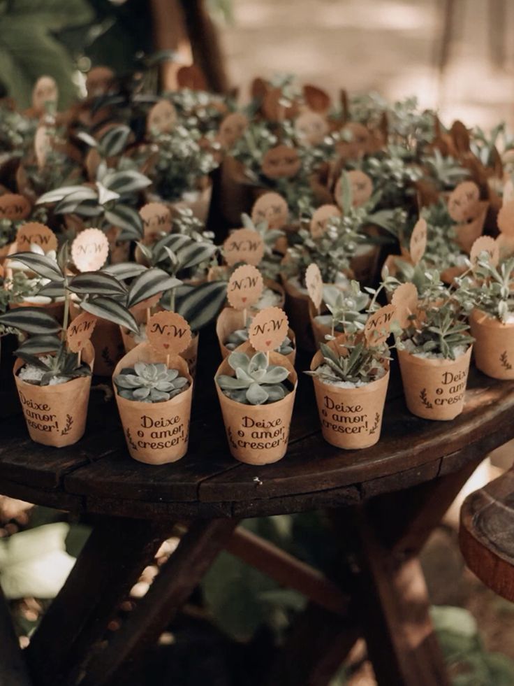 lembrancinhas sustentáveis para eventos