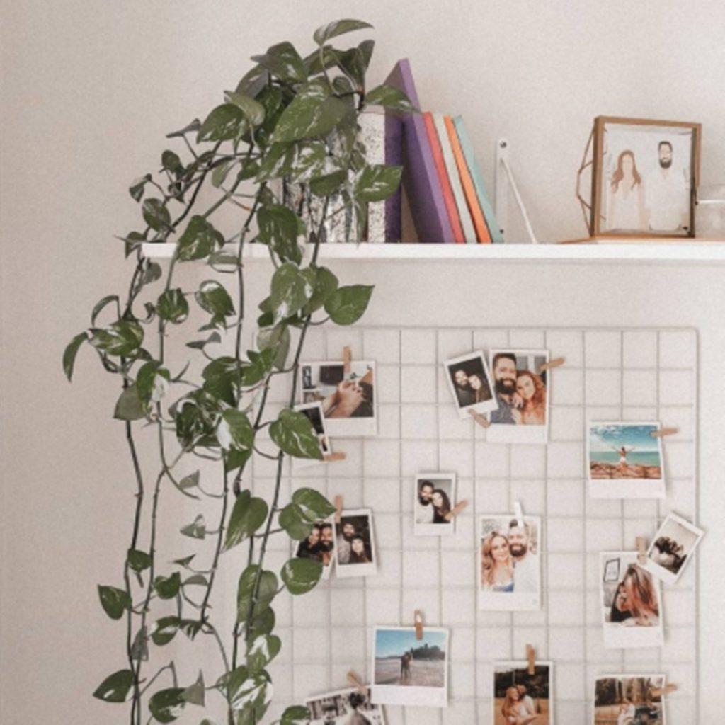 memory board ideias