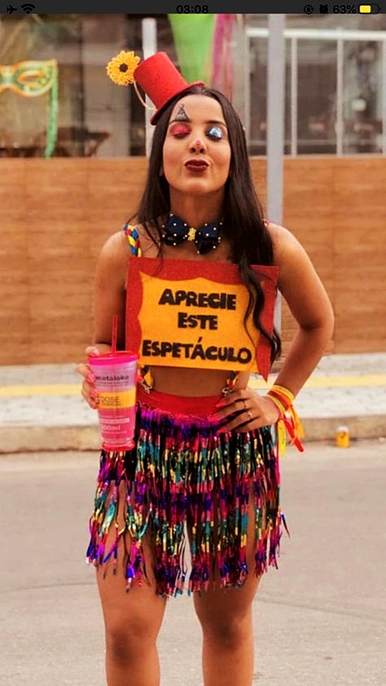 plaquinhas de carnaval para solteiros