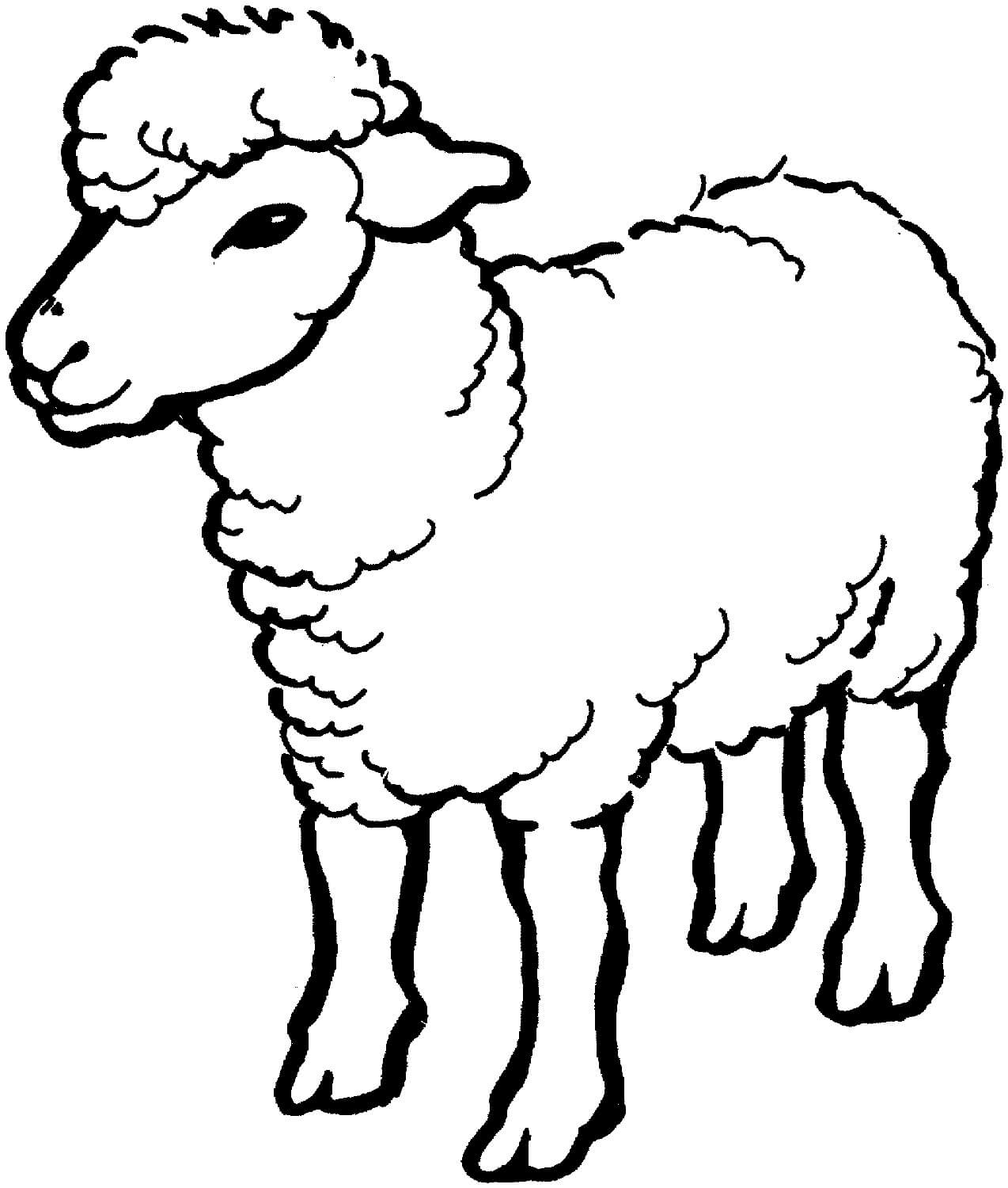 clipart de ovelha para imprimir