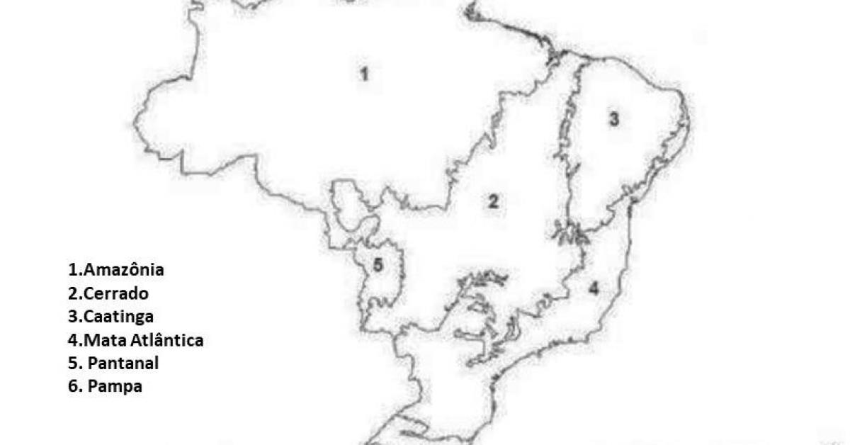 mapa das regiões do brasil para pintar