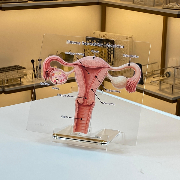 maquete arquitetônica