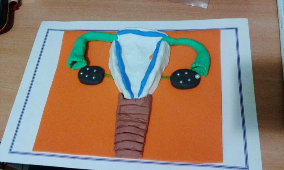 como fazer maquete