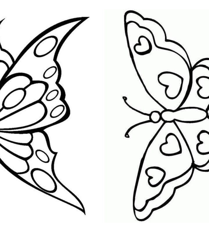 molde borboleta feltro