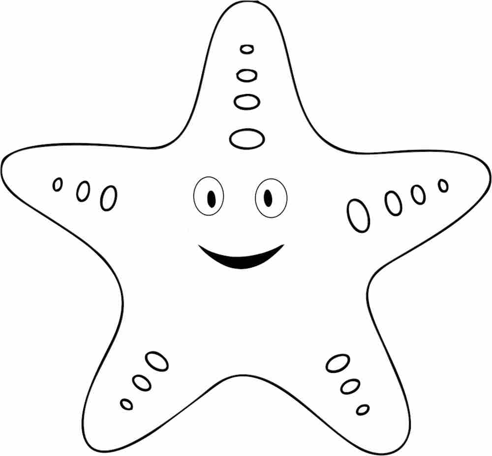 molde estrela do mar eva