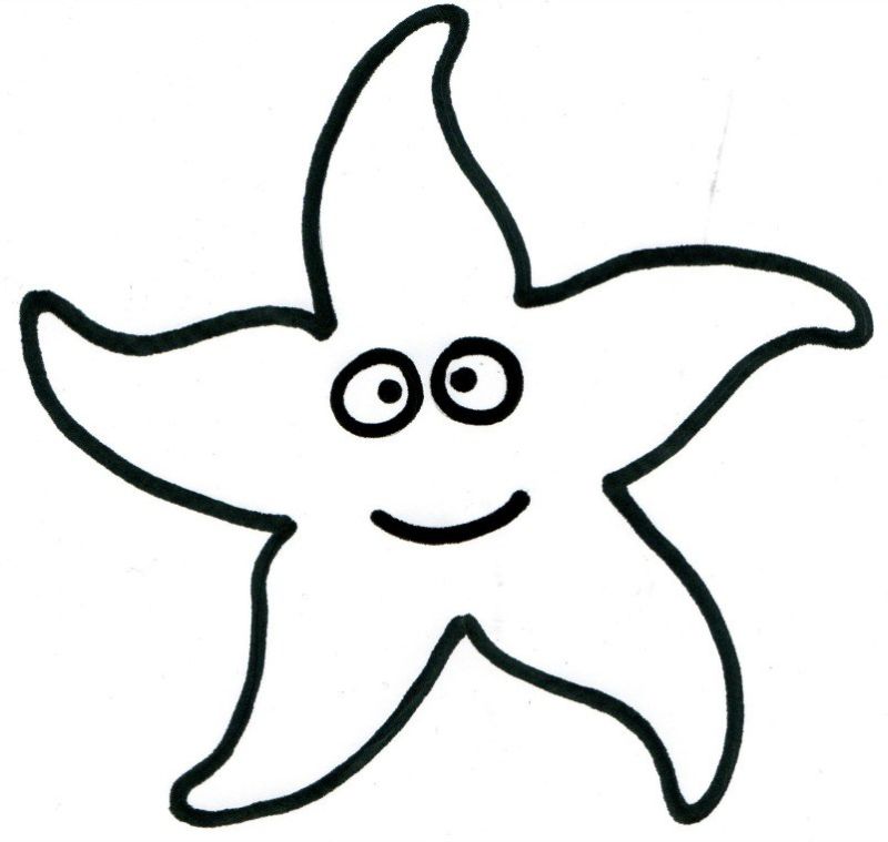 molde estrela do mar eva