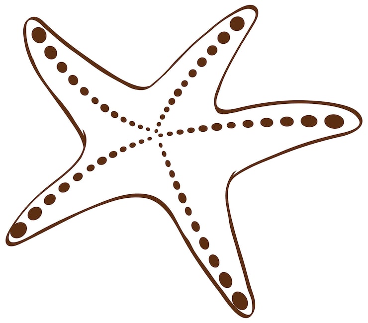 molde estrela do mar para festa infantil