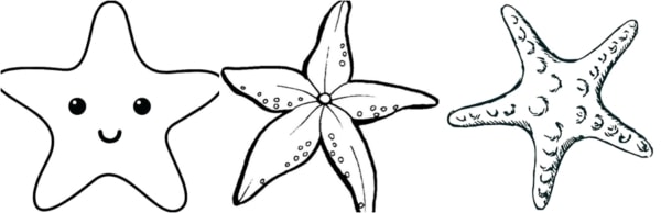 molde estrela do mar para festa infantil