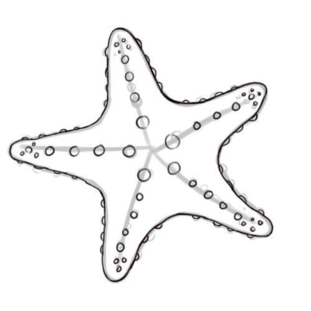 molde estrela do mar para festa infantil