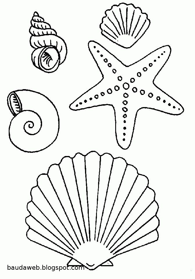diy estrela do mar