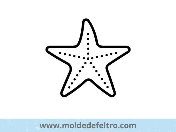 artesanato estrela do mar