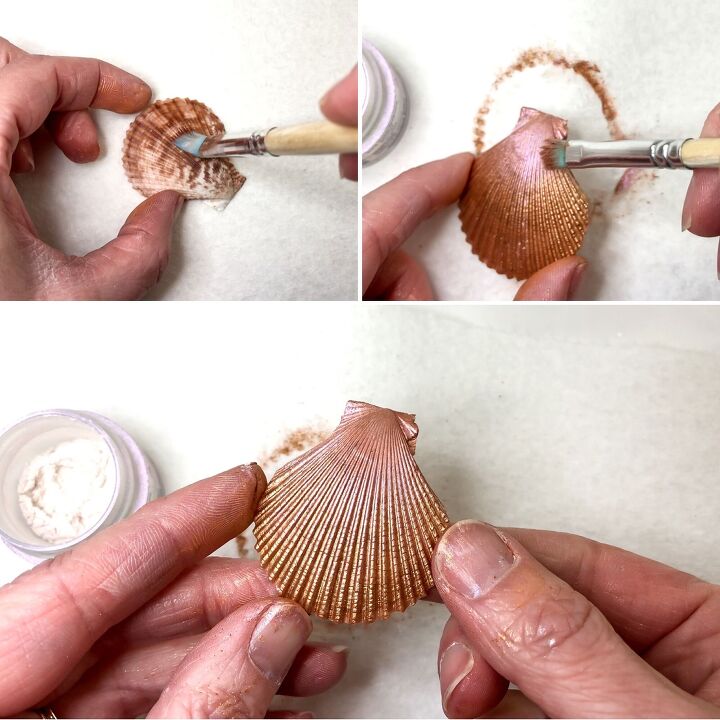 conchas para umbanda