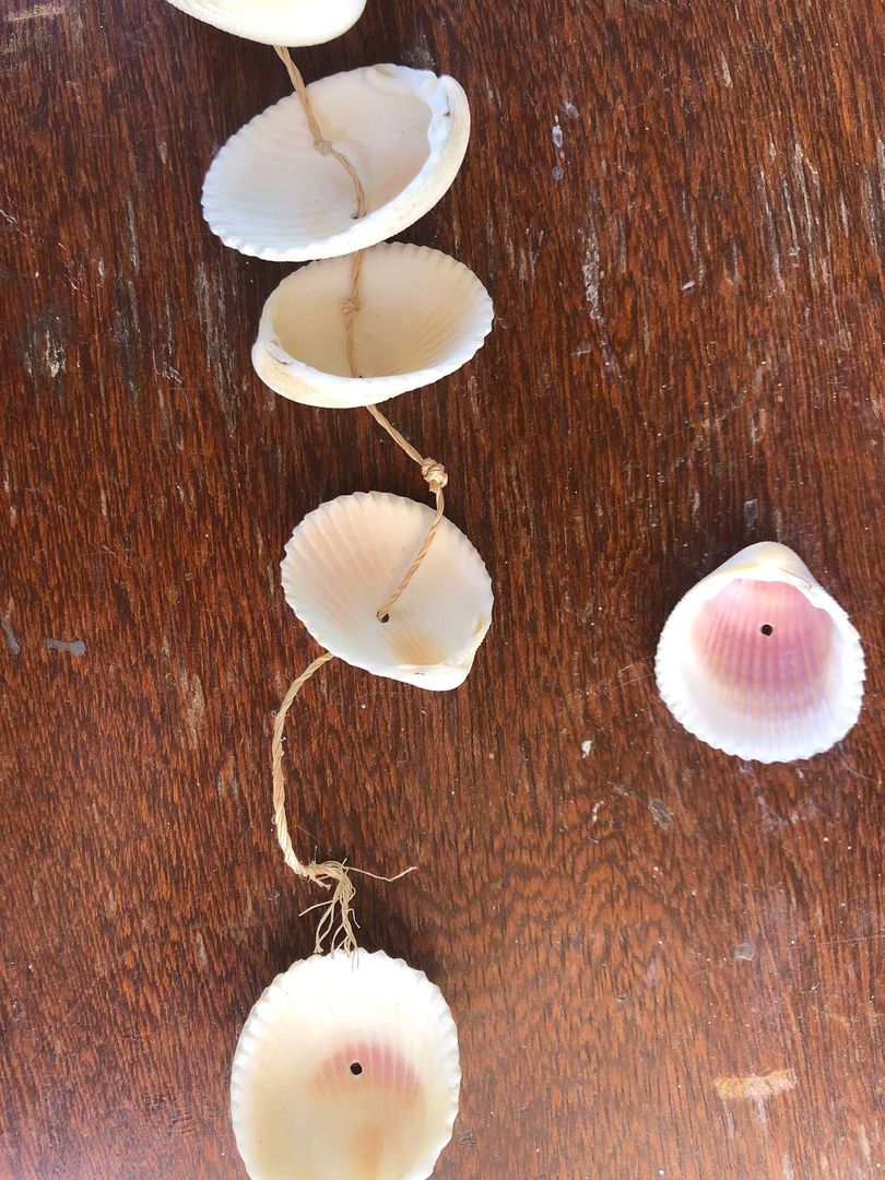 projetos DIY com conchas