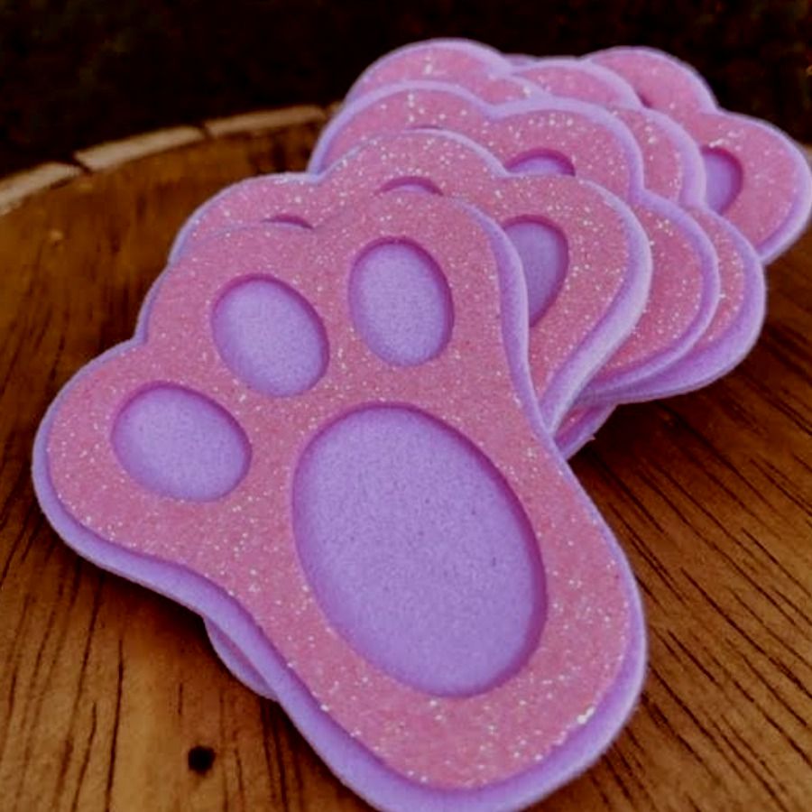 coelho pet patas