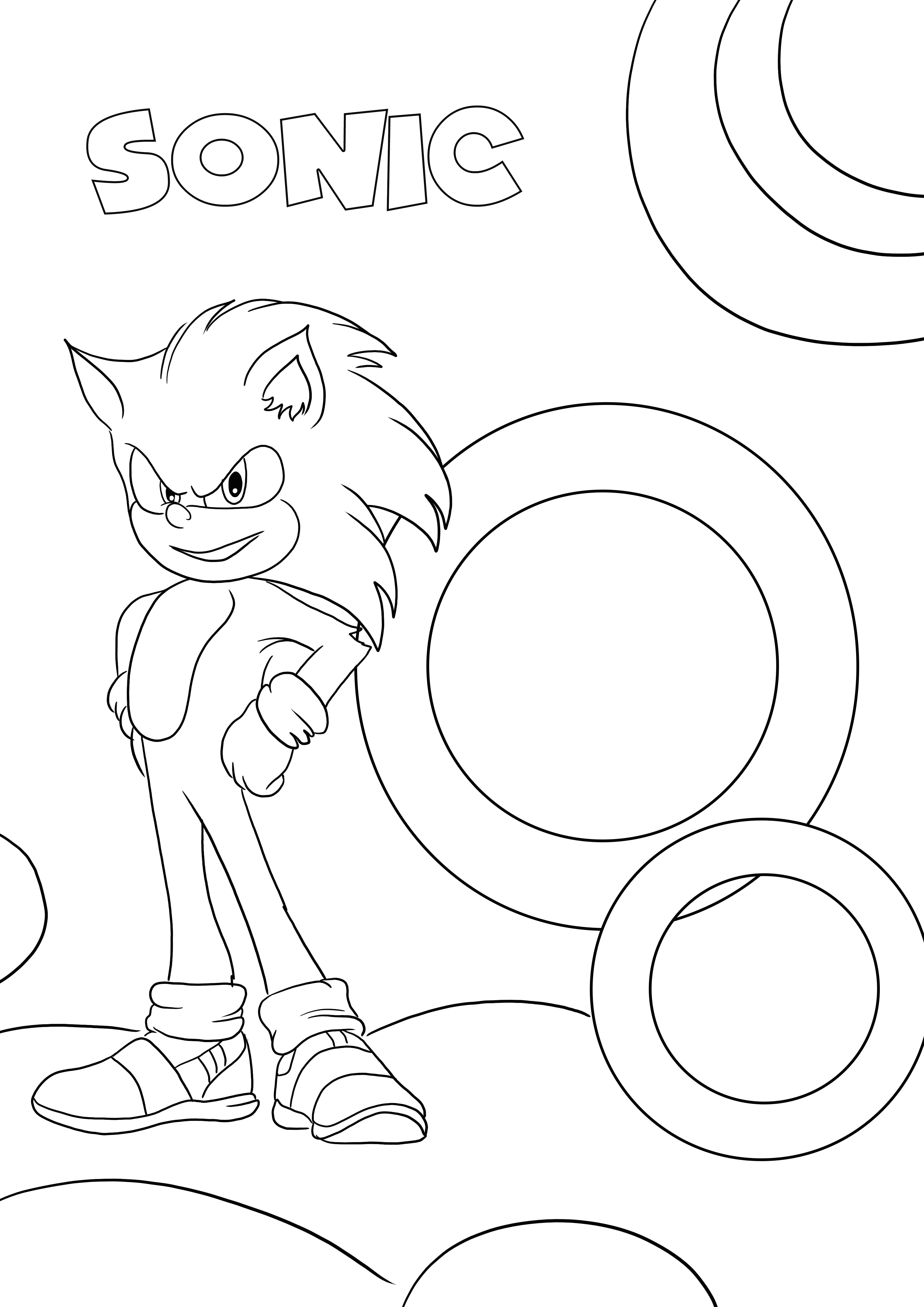 Sonic para pintar