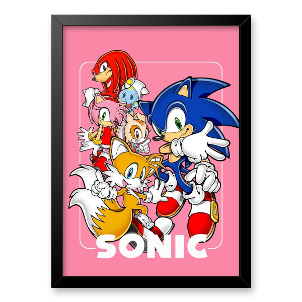 Sonic e amigos para colorir